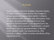Prezentācija 'Suņi', 8.