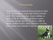 Prezentācija 'Suņi', 10.