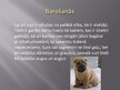 Prezentācija 'Suņi', 11.