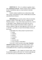 Konspekts 'Audzināšanas mērķu raksturojums vēsturiskā skatījumā', 2.