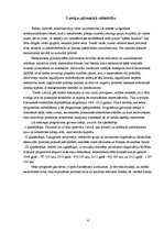 Referāts 'Pilsoniskā sabiedrība', 6.