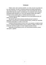 Referāts 'Pilsoniskā sabiedrība', 7.