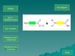 Prezentācija 'Olbaltumvielu uzbūve', 2.