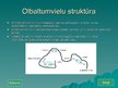 Prezentācija 'Olbaltumvielu uzbūve', 7.