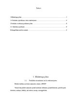 Biznesa plāns 'Mārketinga plāns', 1.