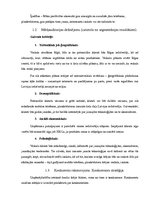 Biznesa plāns 'Mārketinga plāns', 2.