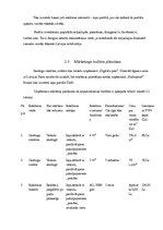 Biznesa plāns 'Mārketinga plāns', 7.