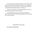 Biznesa plāns 'Mārketinga plāns', 9.