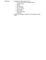 Konspekts 'Salvadora Dalī mākslas darba "Ziloņi" analīze', 2.