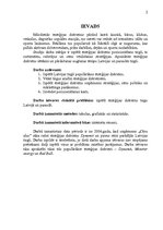 Referāts 'Enerģijas dzērienu izpēte tirgū', 2.