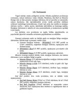 Referāts 'Enerģijas dzērienu izpēte tirgū', 7.