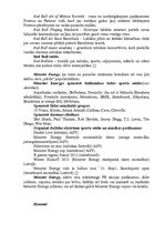 Referāts 'Enerģijas dzērienu izpēte tirgū', 13.