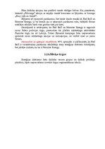 Referāts 'Enerģijas dzērienu izpēte tirgū', 14.