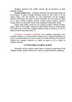 Referāts 'Enerģijas dzērienu izpēte tirgū', 17.