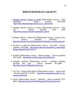 Referāts 'Enerģijas dzērienu izpēte tirgū', 24.