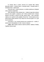 Diplomdarbs 'Uzņēmuma sagatavošana publiskā iepirkuma veikšanai Latvijā', 3.