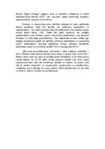 Eseja 'Sasniegumi ekonomikā, kultūrā un sadzīvē Latvijā 20.-30.gados', 2.