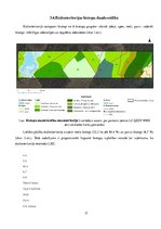 Referāts 'Etalonteritorijas biotopu un augšņu daudzveidība', 17.