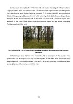 Referāts 'Etalonteritorijas biotopu un augšņu daudzveidība', 22.