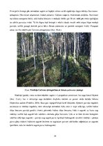 Referāts 'Etalonteritorijas biotopu un augšņu daudzveidība', 24.