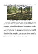 Referāts 'Etalonteritorijas biotopu un augšņu daudzveidība', 29.