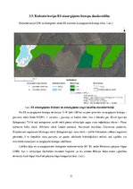 Referāts 'Etalonteritorijas biotopu un augšņu daudzveidība', 31.