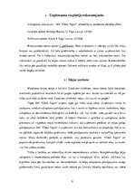 Biznesa plāns 'Biznesa plāns uzkopšanas uzņēmumam "Clean Vapro"', 5.