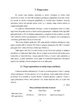 Biznesa plāns 'Biznesa plāns uzkopšanas uzņēmumam "Clean Vapro"', 8.