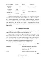 Biznesa plāns 'Biznesa plāns uzkopšanas uzņēmumam "Clean Vapro"', 9.