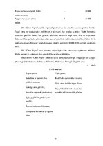 Biznesa plāns 'Biznesa plāns uzkopšanas uzņēmumam "Clean Vapro"', 13.