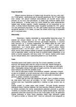 Referāts 'Japāna', 5.