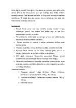 Referāts 'Kristietība kā jauns pasaules skatījums', 7.