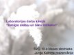 Prezentācija 'Laboratorijas darbs ķīmijā. Dabīgie skābju un bāzu indikatori', 1.