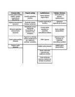Paraugs 'Iekšējais audits uzņēmuma "X" finanšu vadībā', 2.
