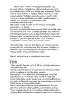 Konspekts 'Bekas', 1.