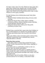 Konspekts 'Bekas', 4.