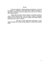 Referāts 'Estētikas kategorijas un pamatjēdzieni', 3.