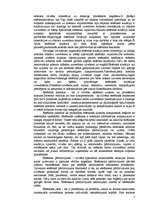 Referāts 'Estētikas kategorijas un pamatjēdzieni', 5.