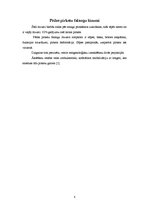 Konspekts 'Apakšstilba un pēdas kaulu lūzumi', 8.