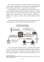 Diplomdarbs 'Sabiedriskās kārtības un drošības nodrošināšanas plānošana publiskos pasākumos t', 15.
