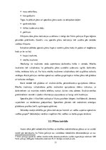 Diplomdarbs 'Sabiedriskās kārtības un drošības nodrošināšanas plānošana publiskos pasākumos t', 31.