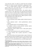 Diplomdarbs 'Sabiedriskās kārtības un drošības nodrošināšanas plānošana publiskos pasākumos t', 32.