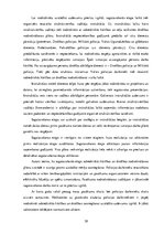 Diplomdarbs 'Sabiedriskās kārtības un drošības nodrošināšanas plānošana publiskos pasākumos t', 38.