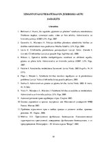 Diplomdarbs 'Sabiedriskās kārtības un drošības nodrošināšanas plānošana publiskos pasākumos t', 59.