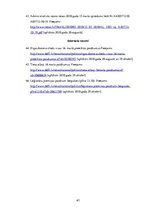 Diplomdarbs 'Sabiedriskās kārtības un drošības nodrošināšanas plānošana publiskos pasākumos t', 63.