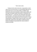 Referāts 'Latviešu valoda - viena no Eiropas Savienības valstu valodām', 4.