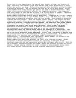 Eseja 'Bungee Jumping', 2.