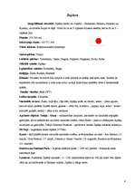 Referāts 'Japāna', 4.