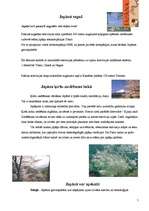 Referāts 'Japāna', 5.