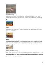 Referāts 'Japāna', 8.